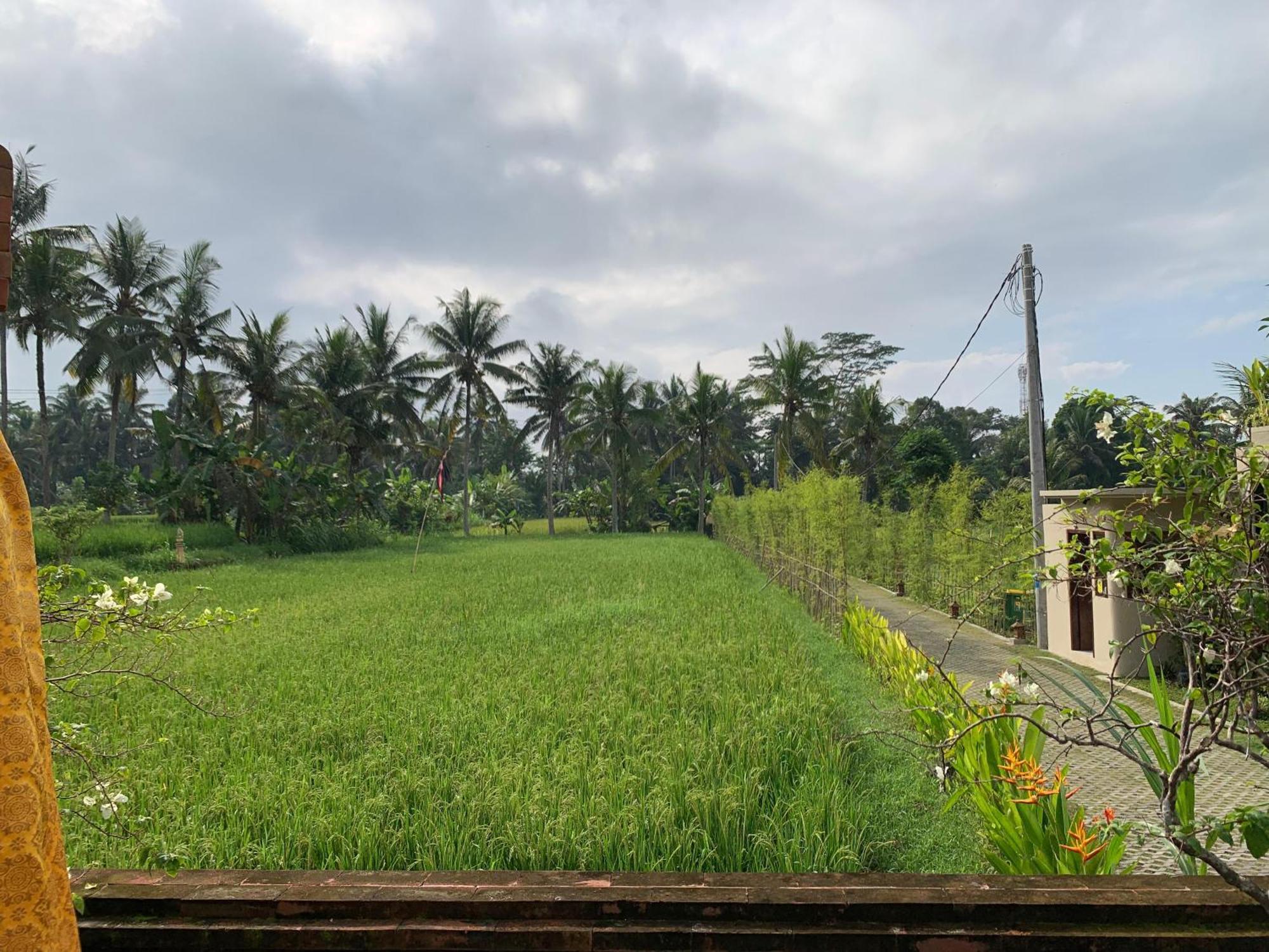 Villa Adi Laxmi Ubud